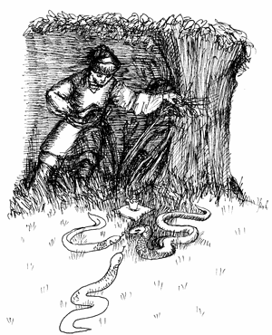 Der Schlangenkönig und sein Häscher (© Annette Bricks)